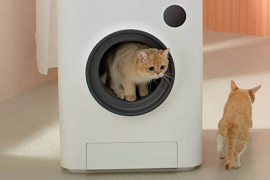 pet safe scoopfree litter box